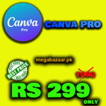 Canva Pro