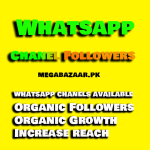 Whatsapp Chanel Followers