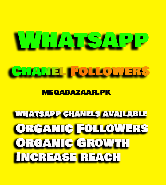 Whatsapp Chanel Followers