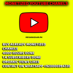 Monetized Youtube Chanel